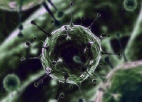Bacterial microorganisms are the cause of prostatitis