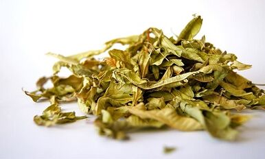 Herbs to treat prostatitis